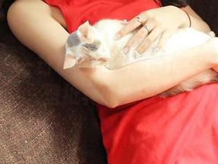 青豆客 – 一封写给王明明的信：你的网袜壁纸真抓眼球！